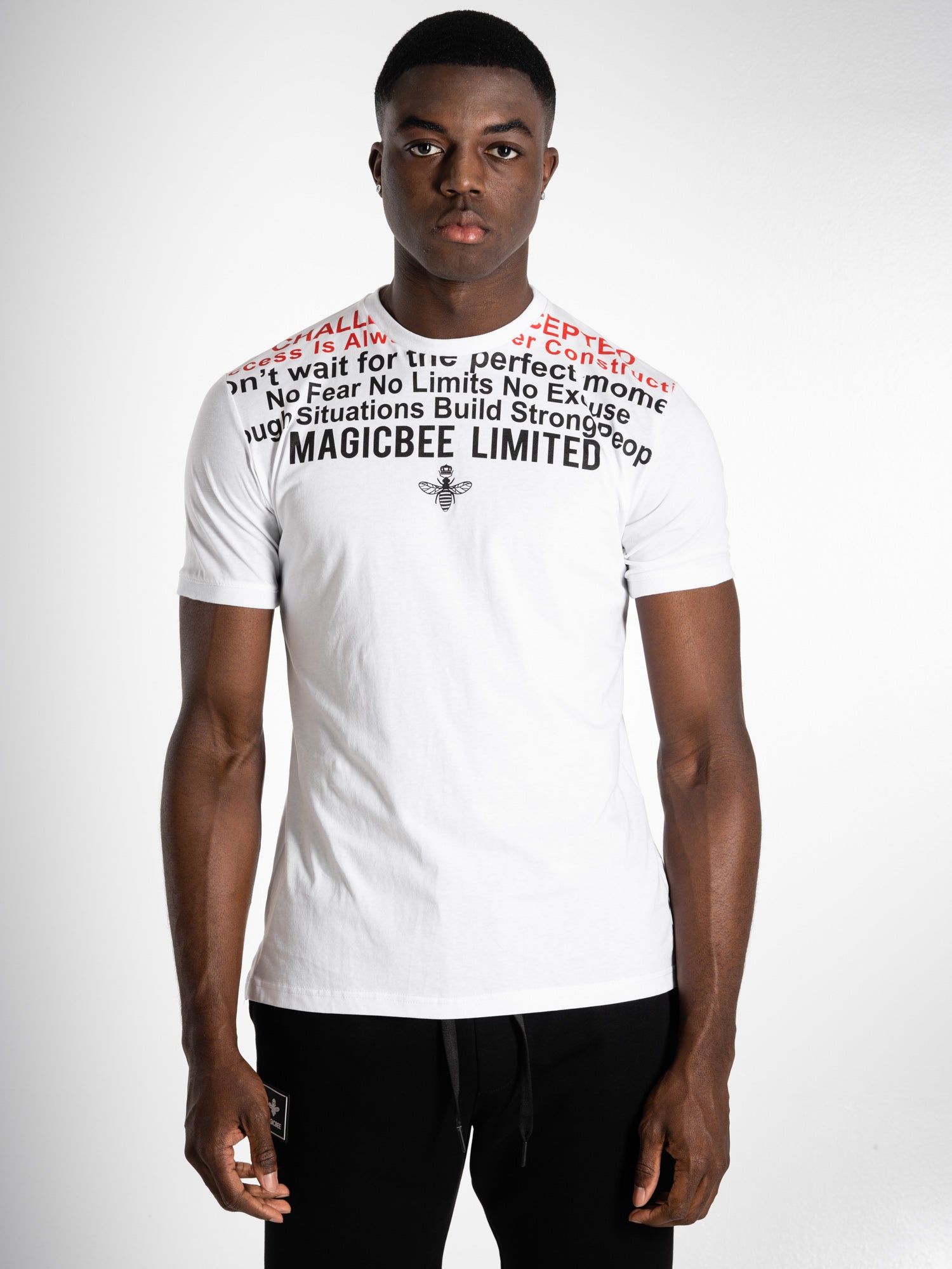 Ανδρικό t-shirt MagicBee Limited Logo Tee “MAGIC BEE” (7608198332674)